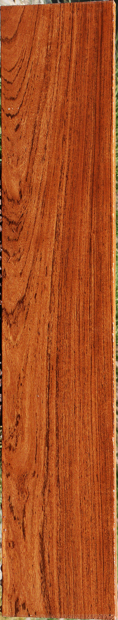 Zambezi Teak Lumber