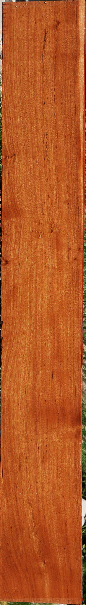 Zambezi Teak Lumber