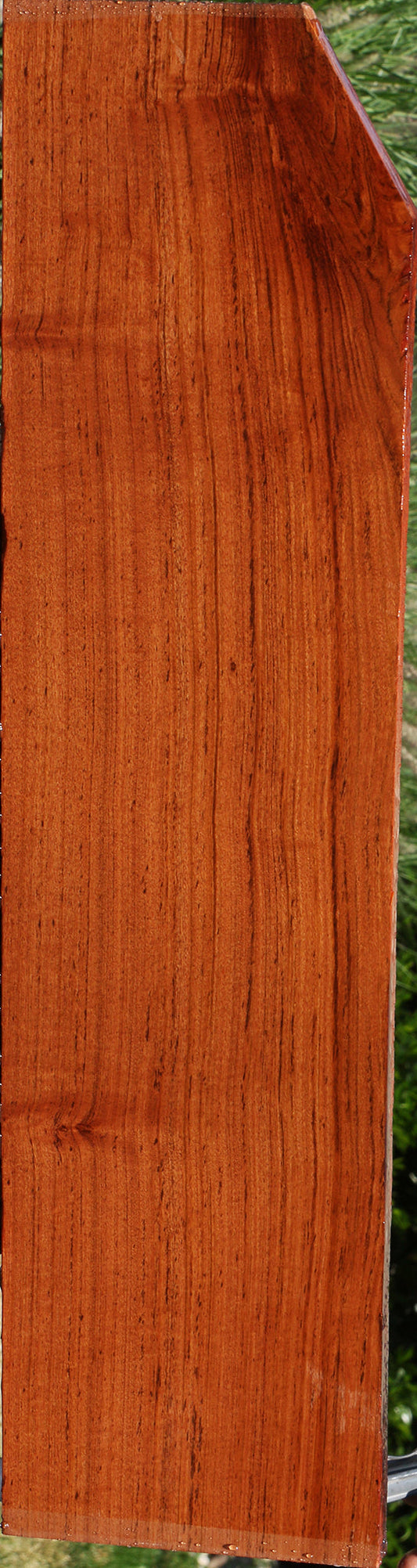 Zambezi Teak Lumber