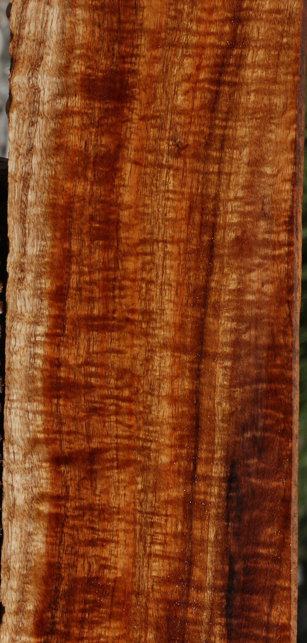 Exhibition Hawaiian Koa Lumber
