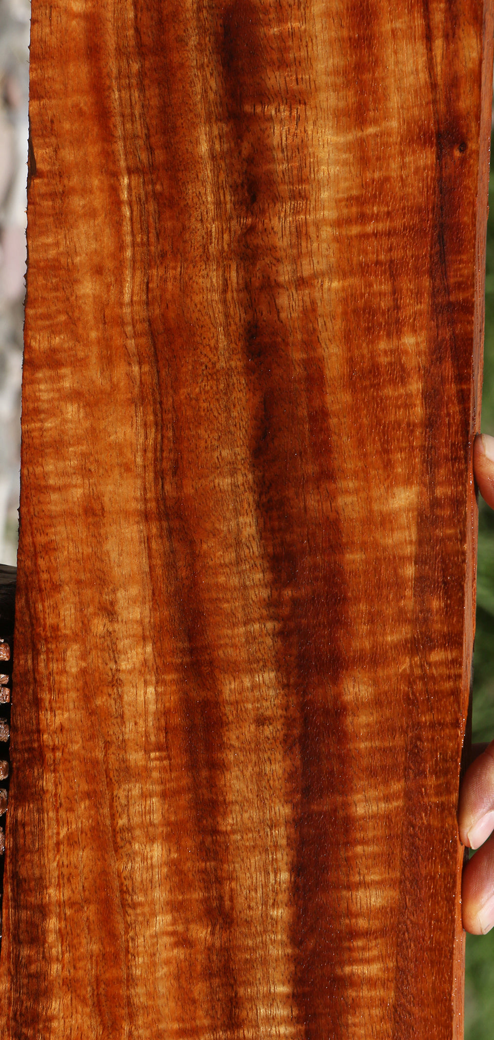 Exhibition Hawaiian Koa Lumber