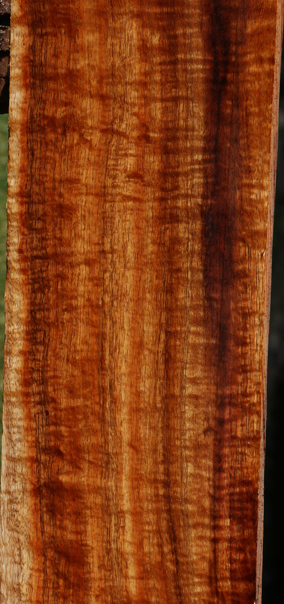 Exhibition Hawaiian Koa Lumber