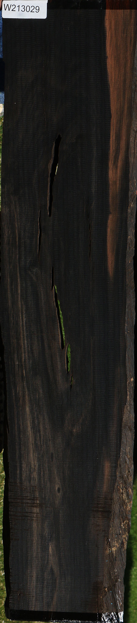 Rustic Gabon Ebony Live Edge Micro Lumber