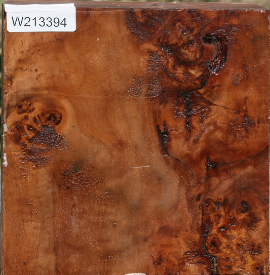 Extra Fancy Cottonwood Burl Bowl Blank