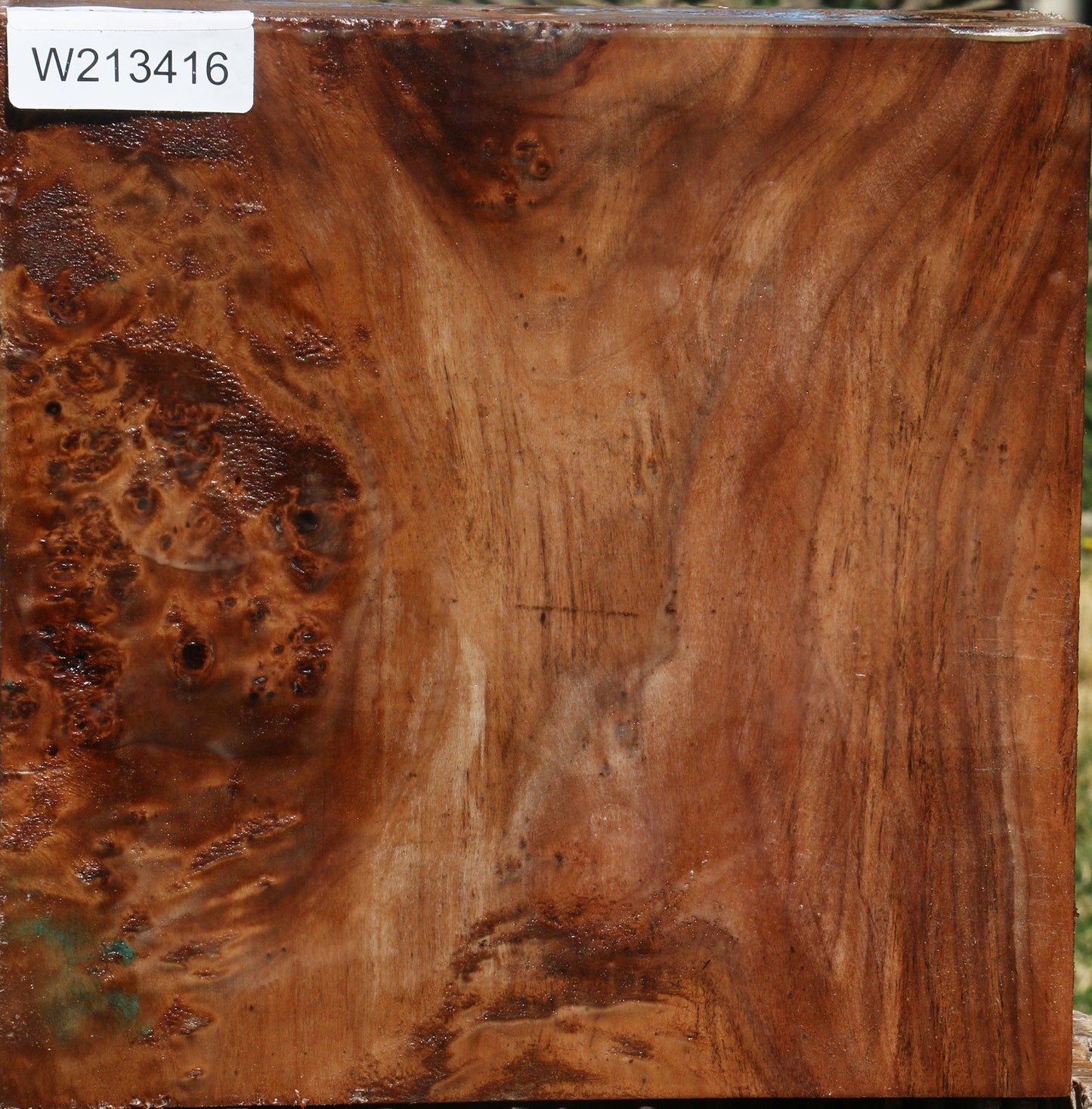 Extra Fancy Cottonwood Burl Bowl Blank