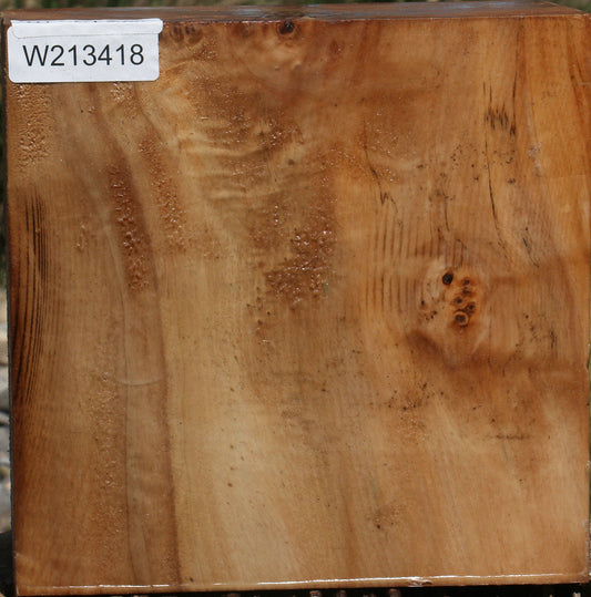 Figured Cottonwood Bowl Blank