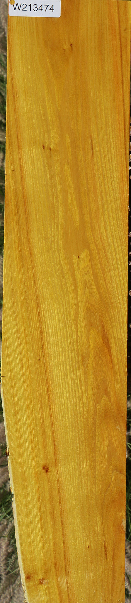 Osage Orange Lumber