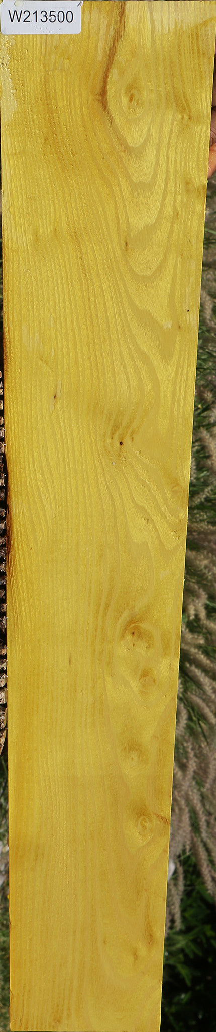 Osage Orange Lumber