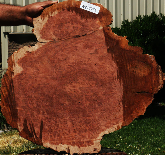 Red Coolibah Burl Cookie