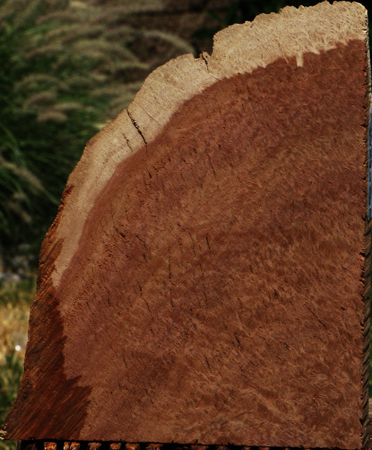 Red Coolibah Live Edge Lumber