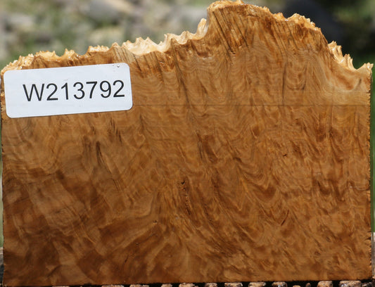 Brown Mallee Live Edge Lumber