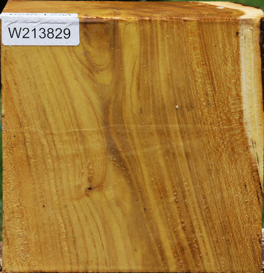 Mulberry Live Edge Bowl Blank