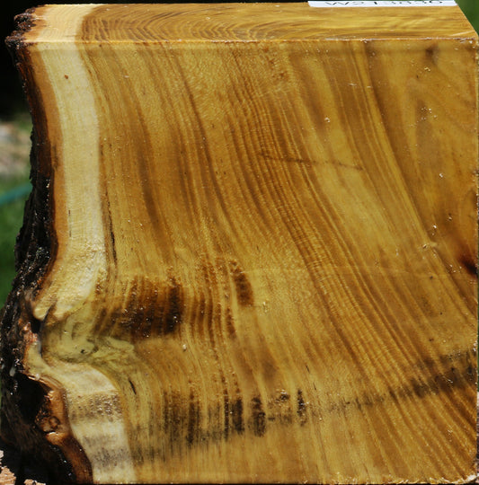 Mulberry Live Edge Bowl Blank