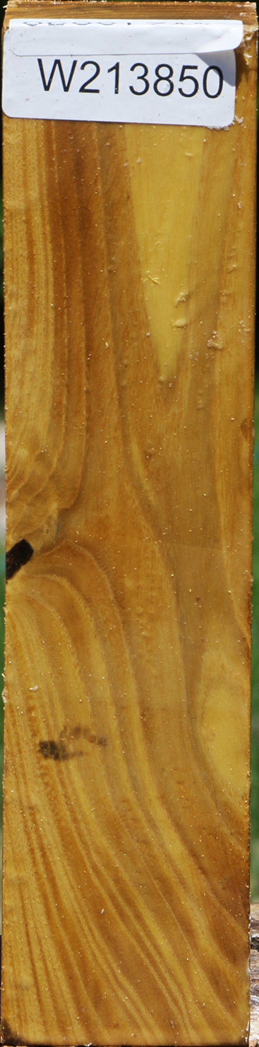 Mulberry Turning Square