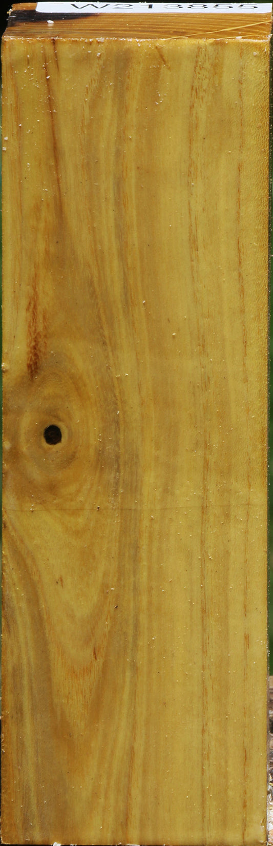 Mulberry Turning Square