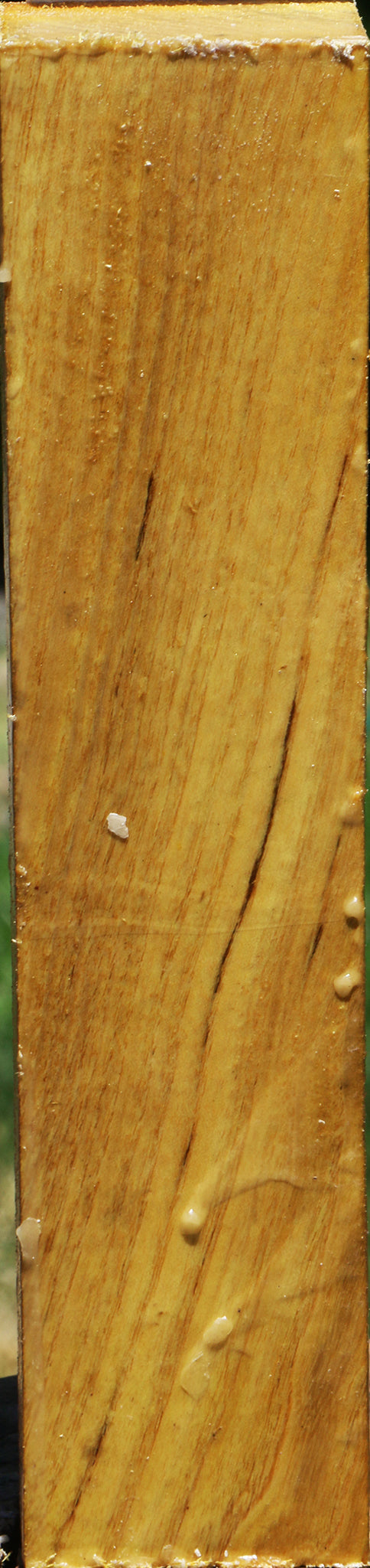 Mulberry Turning Blank