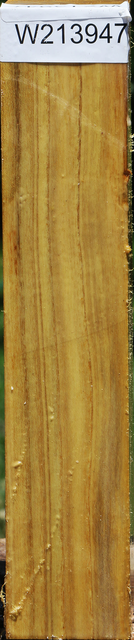 Mulberry Turning Square