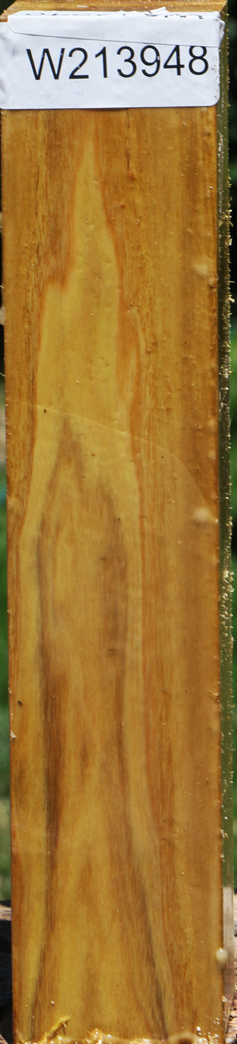 Mulberry Turning Square