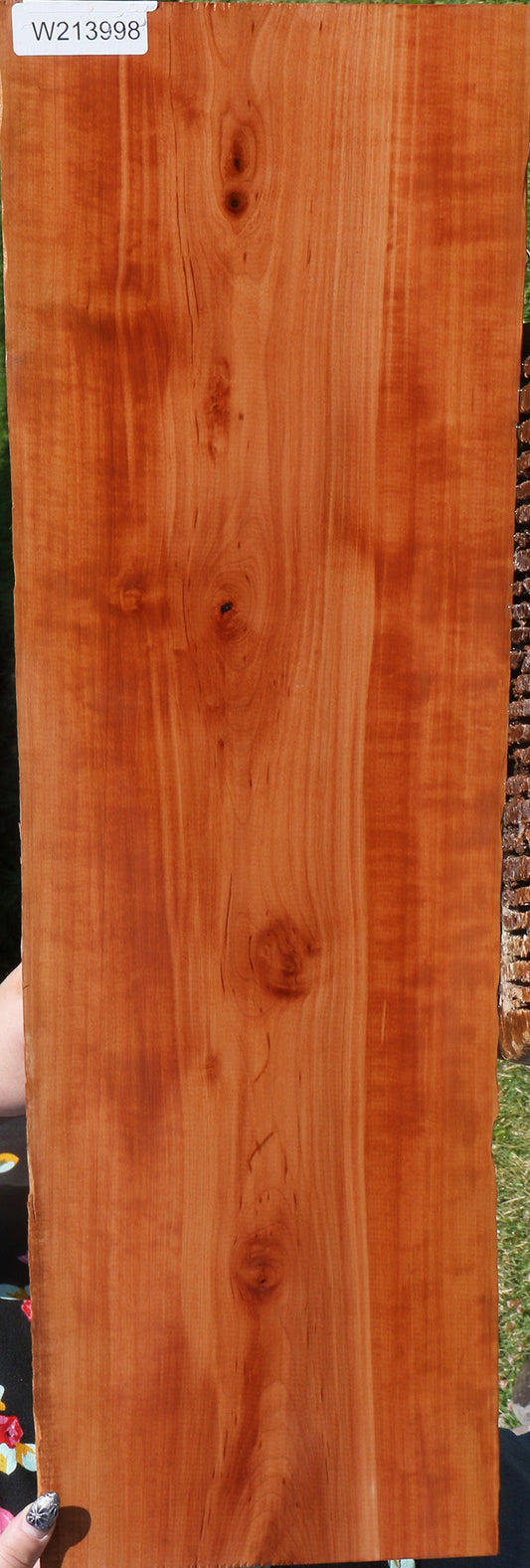 Swiss Pear Live Edge Lumber