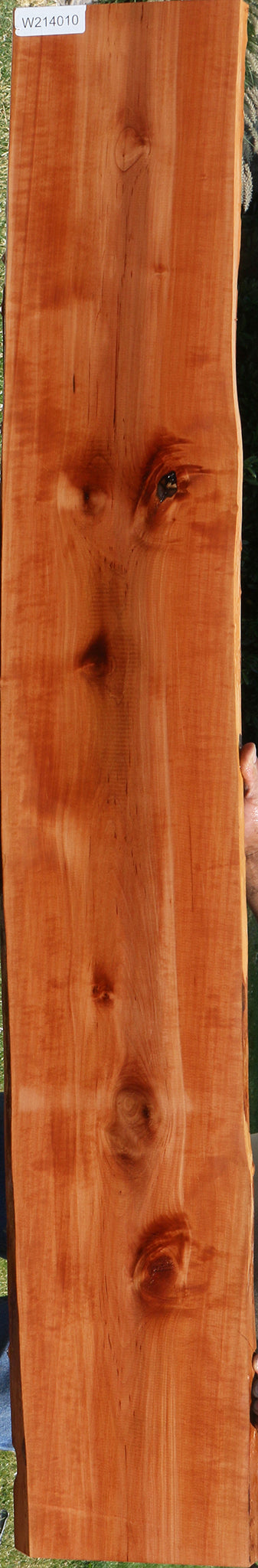 Swiss Pear Live Edge Lumber