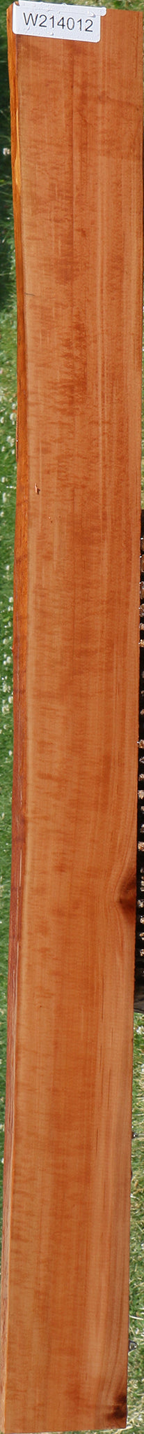 Extra Fancy Swiss Pear Live Edge Lumber