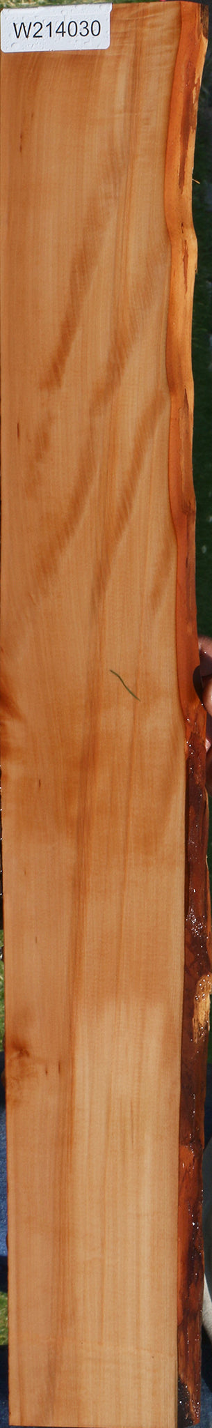 Extra Fancy Swiss Pear Live Edge Lumber