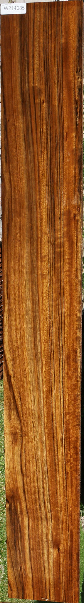 Figured Amazique Lumber