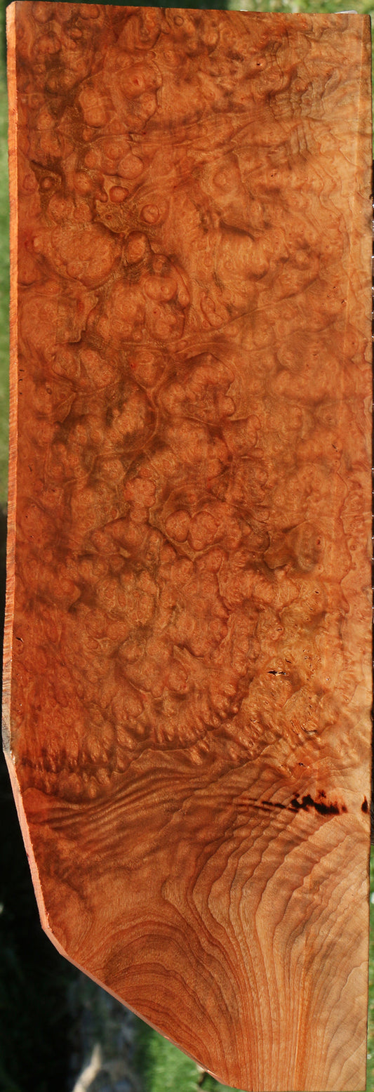 Madrone Burl Lumber