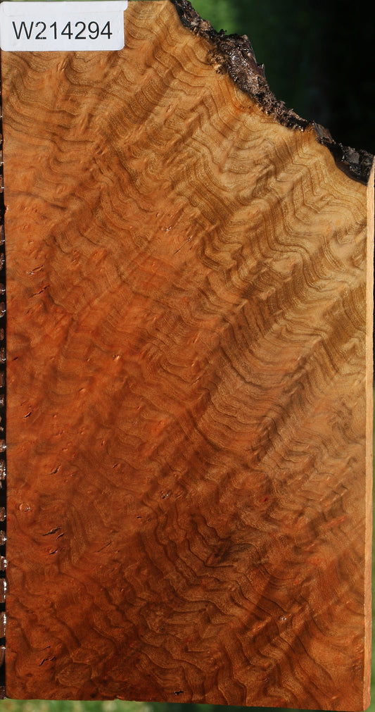 Madrone Burl Lumber