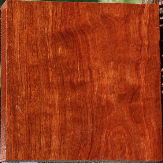 Figured Bubinga Bowl Blank