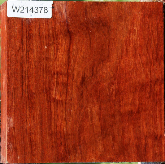 Figured Bubinga Bowl Blank