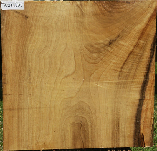 Extra Fancy Myrtle Bowl Blank