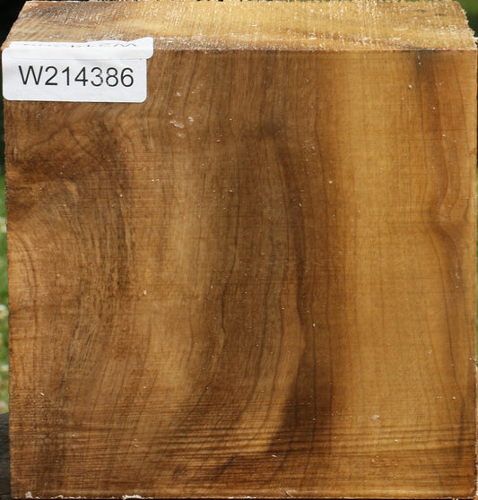 Extra Fancy Myrtle Bowl Blank