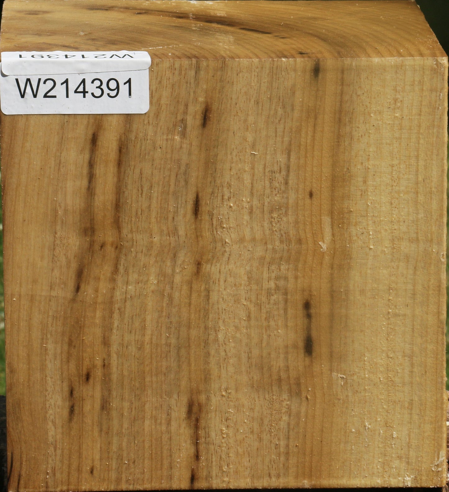 Figured Myrtle Bowl Blank