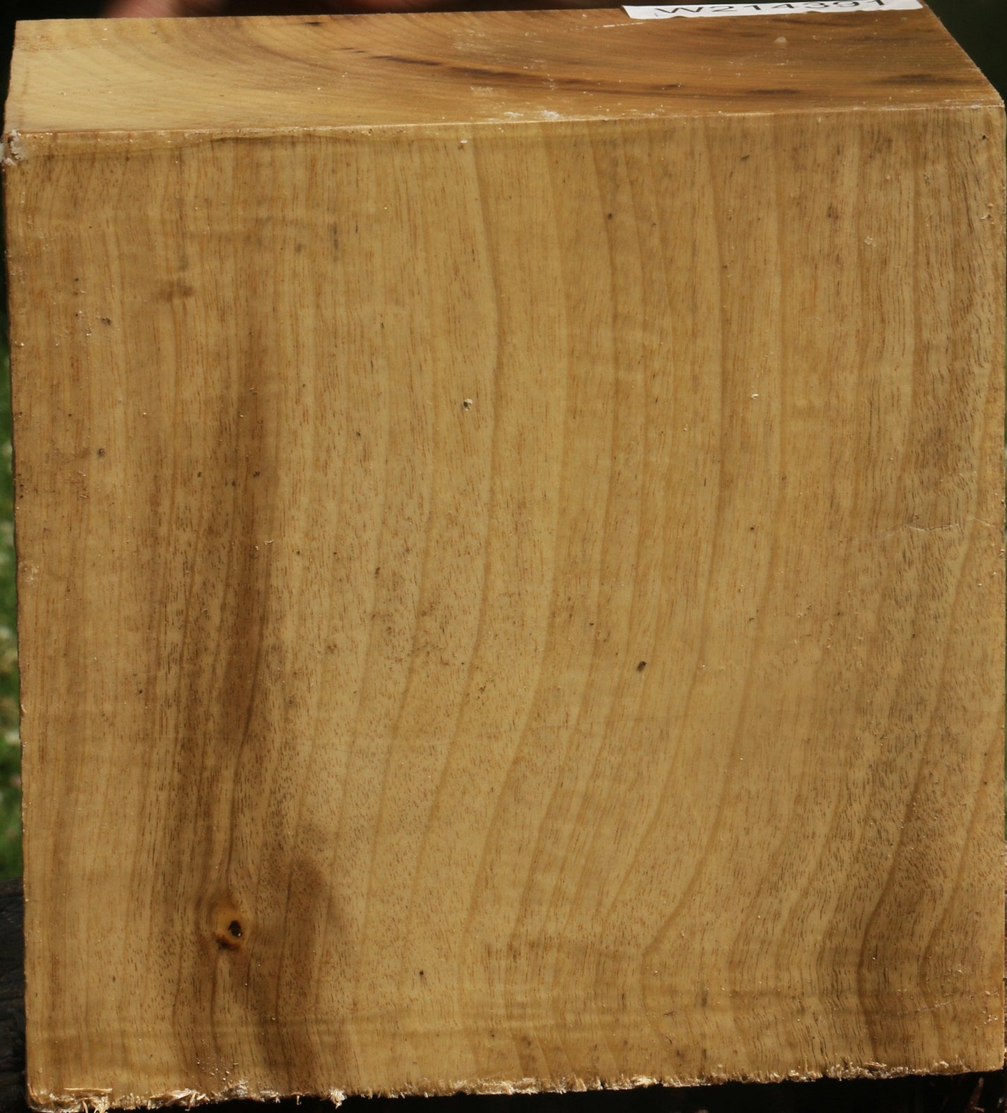 Figured Myrtle Bowl Blank