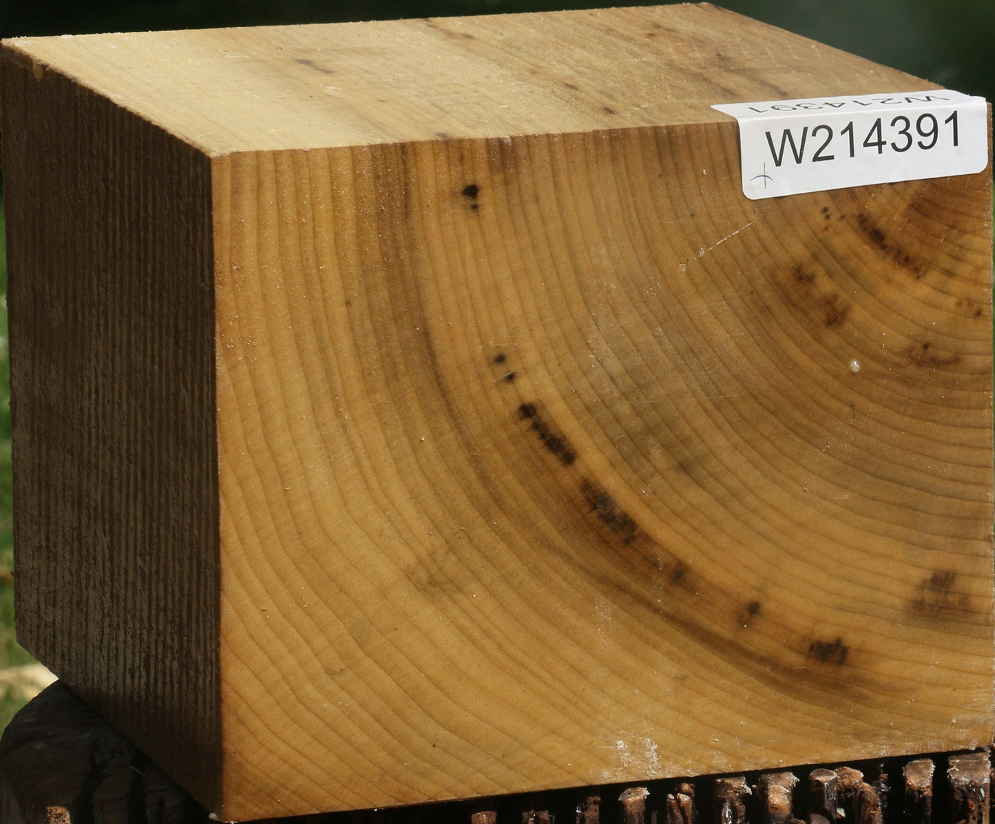 Figured Myrtle Bowl Blank