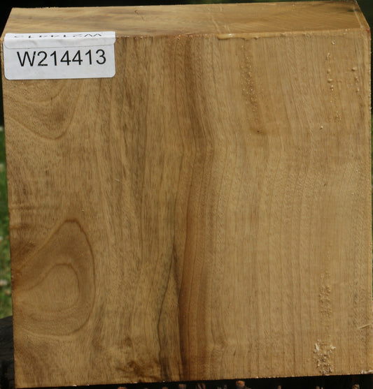 Figured Myrtle Bowl Blank