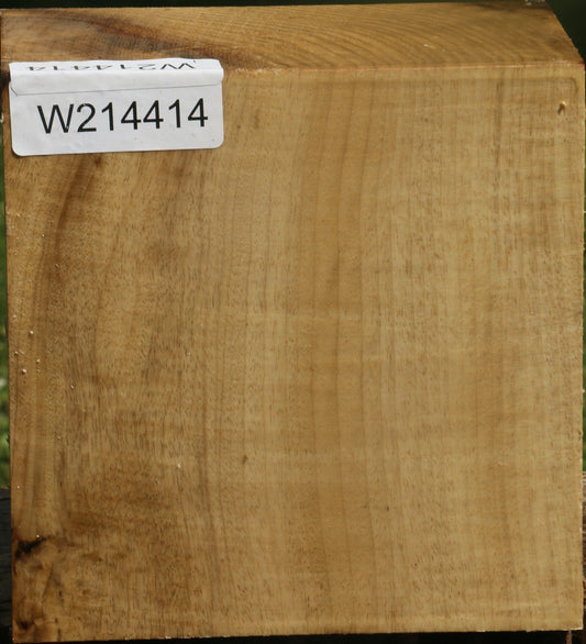 Figured Myrtle Bowl Blank