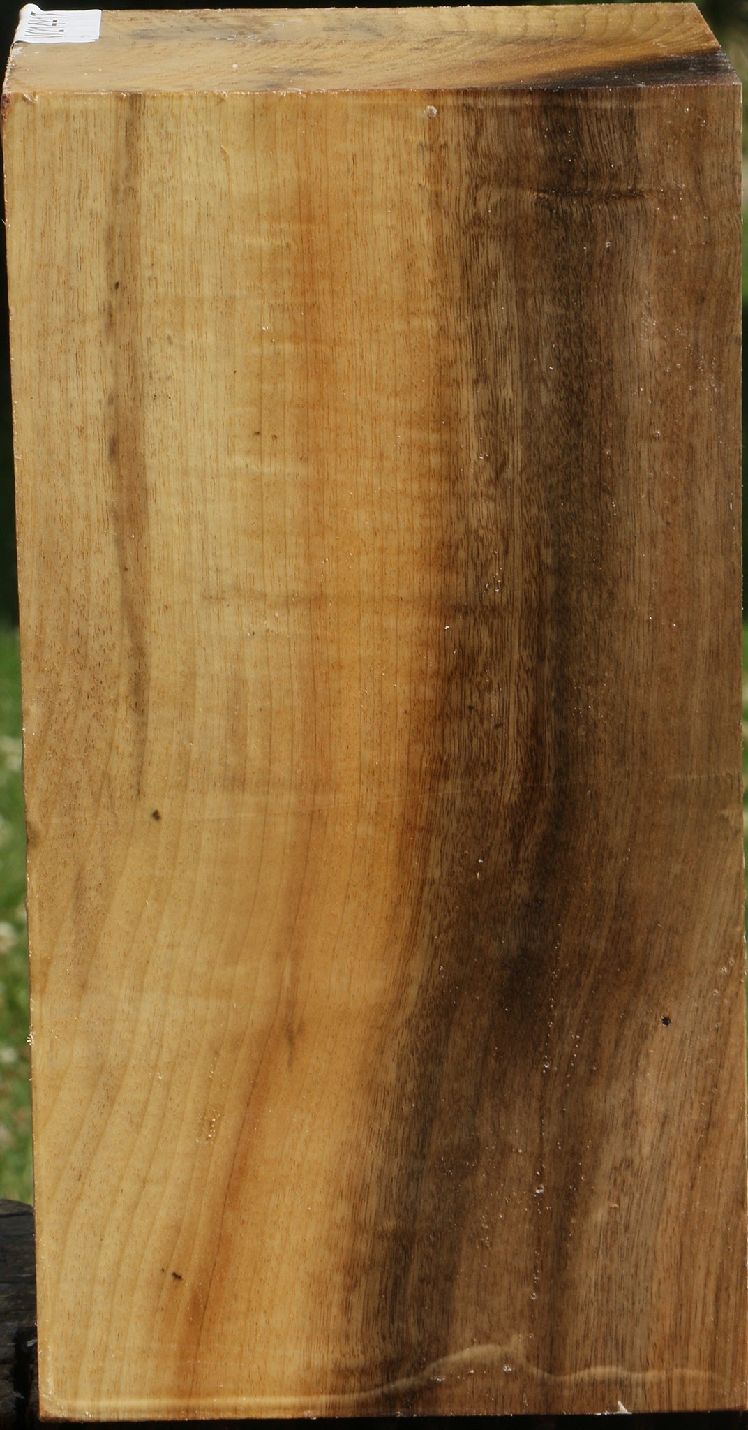 Extra Fancy Myrtle Vessel Blank