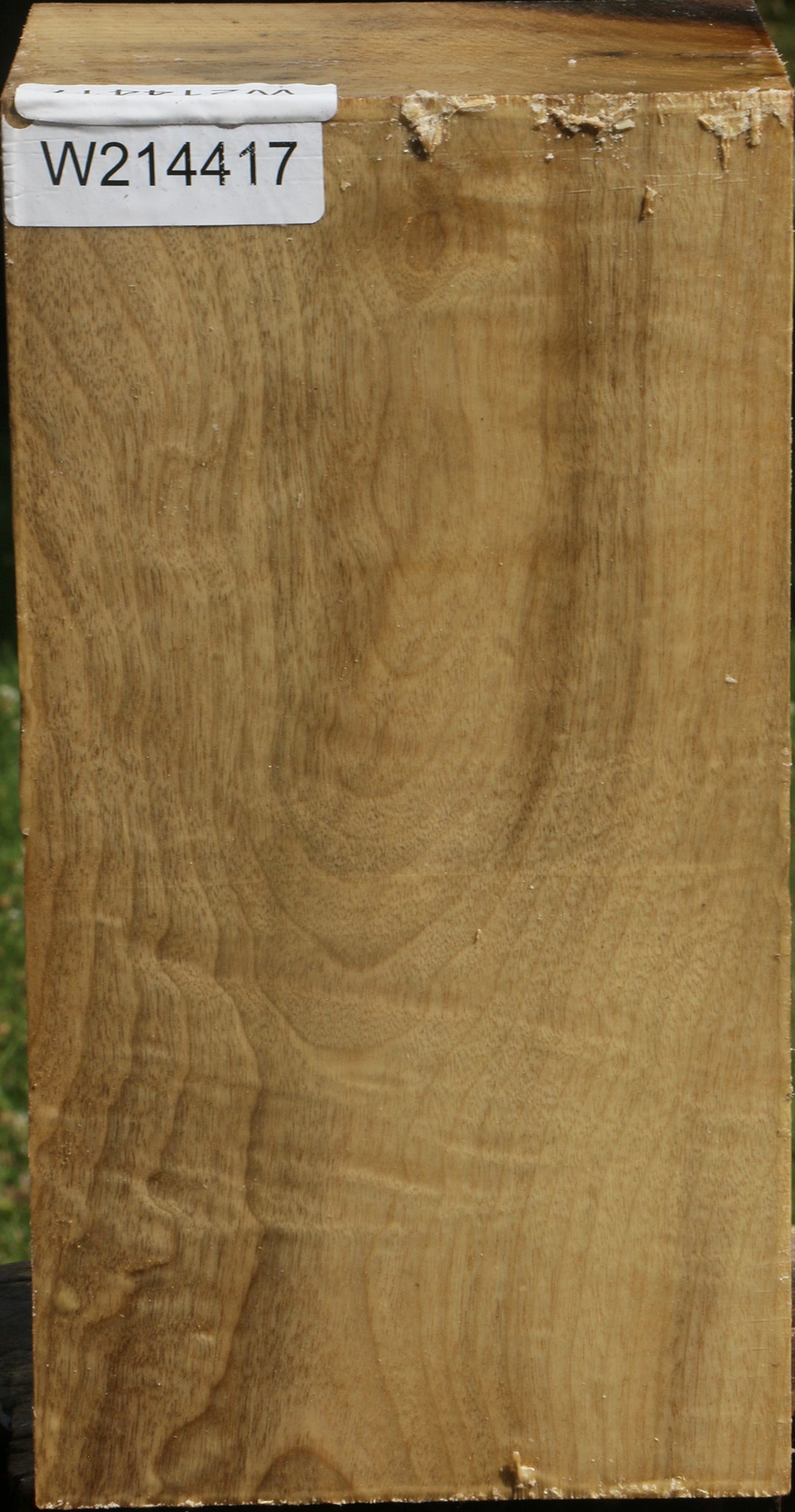 Extra Fancy Myrtle Vessel Blank