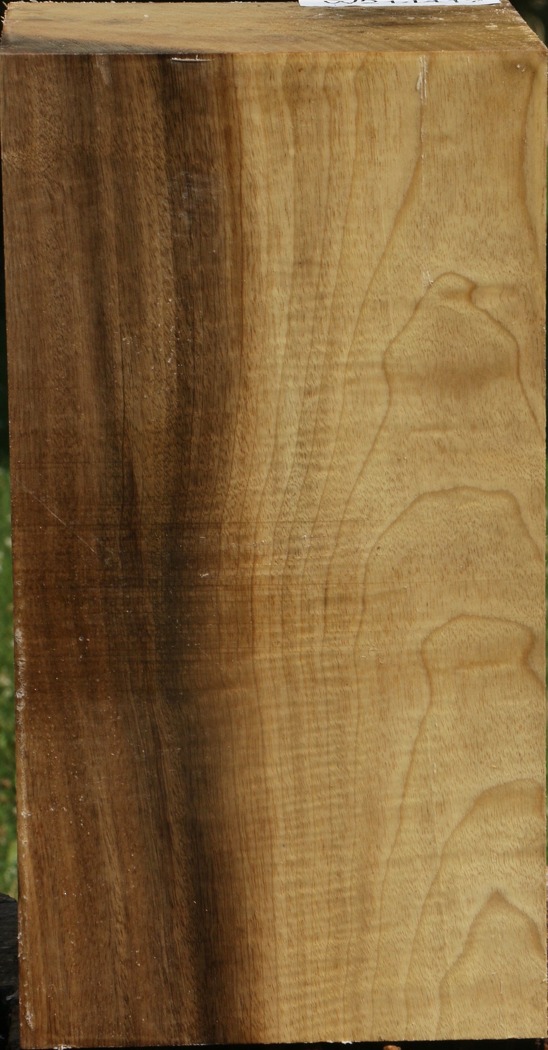 Extra Fancy Myrtle Vessel Blank