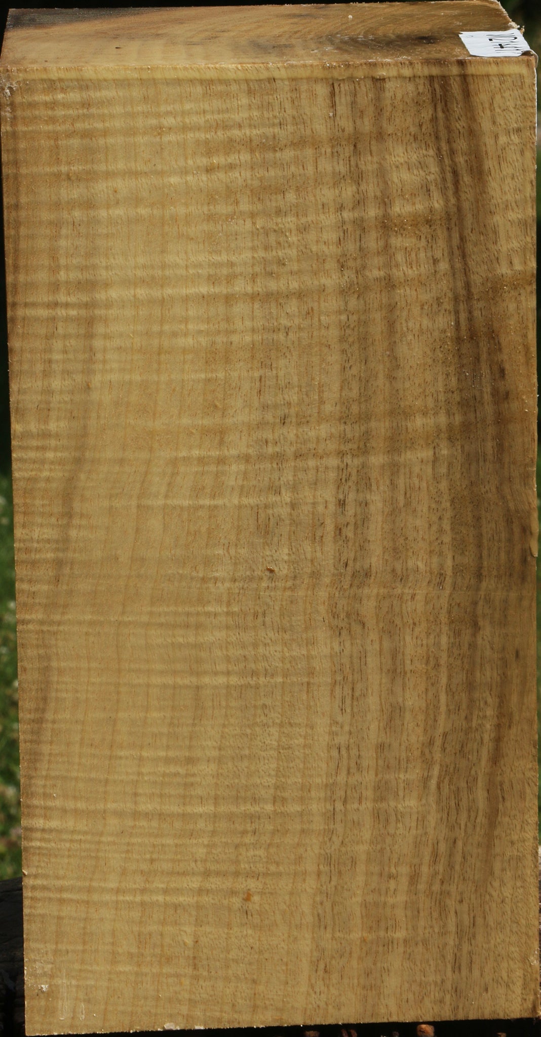 Extra Fancy Myrtle Vessel Blank