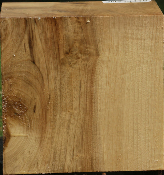 Fiddleback Myrtle Bowl Blank