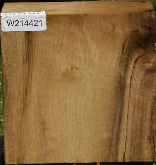 Figured Myrtle Bowl Blank