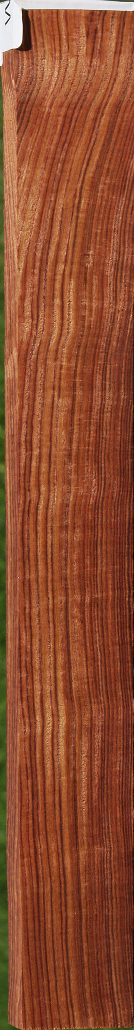 Exhibition Kingwood Lumber