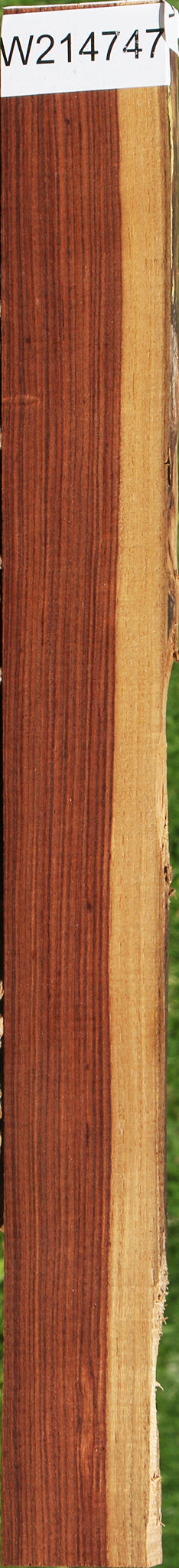 Kingwood Live Edge Lumber