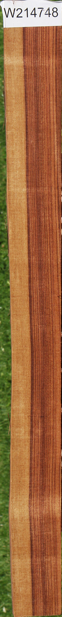 Kingwood Live Edge Lumber