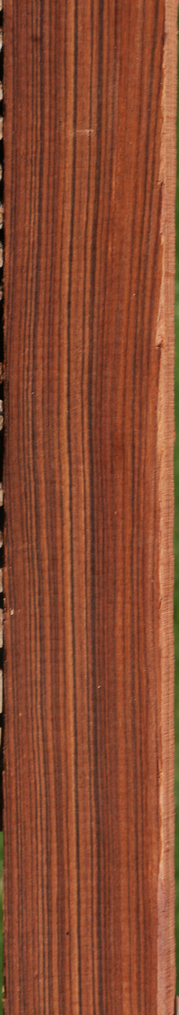 Kingwood Micro Lumber