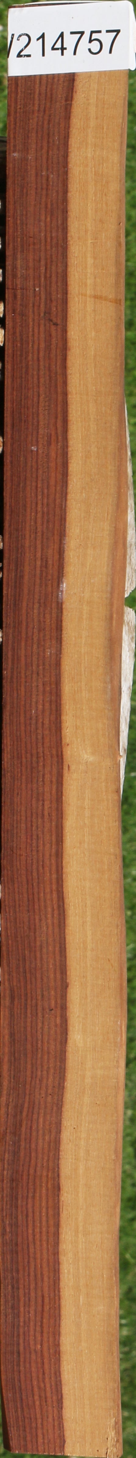 Kingwood Live Edge Lumber