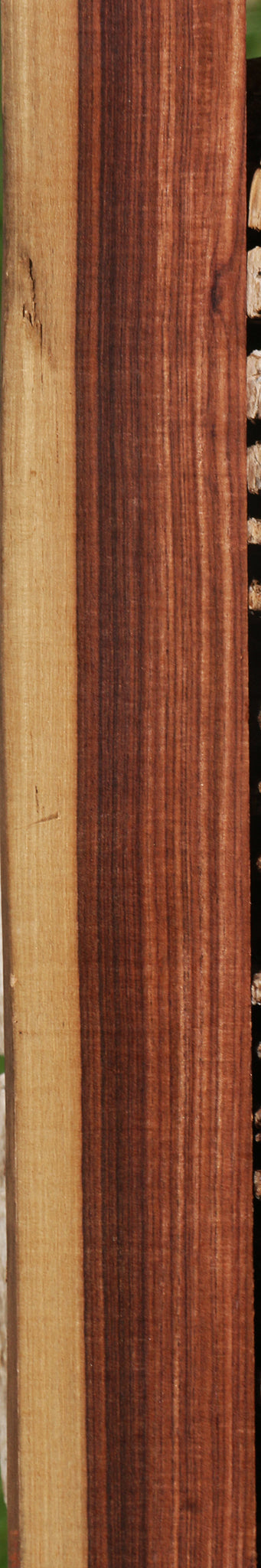 Extra Fancy Kingwood Live Edge Lumber